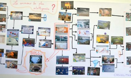 Résultats du concours de la Fresque du Climat