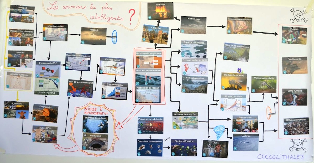 Résultats du concours de la Fresque du Climat